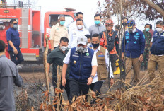 Perkuat Penanganan Karhutla, Sumsel Berpeluang Jadi Pusat Pengembangan Teknologi Realiza