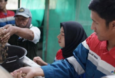 PHE Ogan Komering Wujudkan Desa Hijau dan Mandiri melalui Kompas Lestari