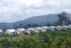 Pemekaran Wilayah Sulawesi Tenggara: Wacana Pembentukan Provinsi Muna Raya Terkendala Jarak Antar Pulau