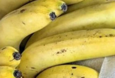 Mengenal Pisang Baby, Buah Kaya Nutrisi yang Cocok untuk MPASI Bayi