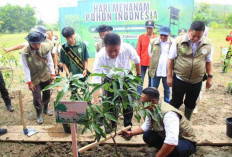 Peringati HMPI 2025, Gubernur Herman Deru Tekankan Pentingnya Warisan Lingkungan untuk Generasi Mendatang