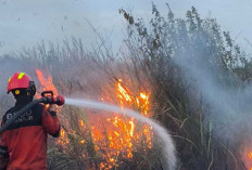1.050 Hektare Lahan di Ogan Ilir Terbakar, Dengan 340 Kejadian
