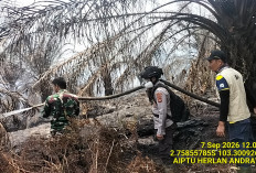 2 Titik Hotspot Terdeteksi di Kebun Sawit PT PPA Sanga Desa, Tim Gabungan Lakukan Pemadaman