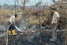 Satgas Karhutla Polda Sumsel Padamkan Kebakaran Lahan 2 Hektare di Bakung
