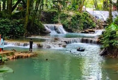 Pemekaran Wilayah Sulawesi Tengah: Wacana Kabupaten Tomini Raya Digadang Jadi Pusat Penggerak Ekonomi Baru
