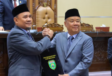 Dorong PSN Tanjung Carat, Pemprov Sumsel Perkuat PT Sumsel Energi Gemilang Lewat Ranperda.