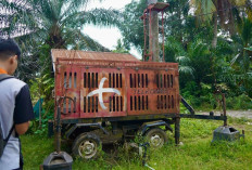 Kolaborasi Pemerintah–Operator, Kunci Pengentasan Blankspot