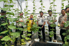 Dinas Pertanian Muba Kunjungi Lapas Sekayu, Tinjau Program Ketahanan Pangan 