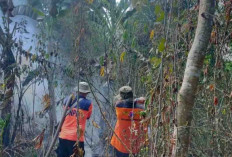 Karhutla Terjang Baturaja, Seribu Meter Persegi Lahan di Sekarjaya Hangus Terbakar