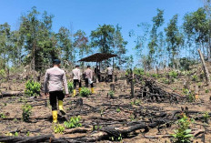 Polda Sumsel Intensifkan Patroli dan Pengecekan Lahan Rawan Karhutla