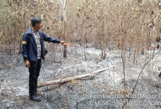 Operasi Aman Nusa II, Tim Gabungan Padamkan Karhutla Dekat Sumur Produksi Pertamina di Lembak