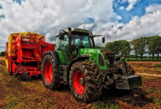 Pemekaran Wilayah Sumatera Selatan: Wacana Pembentukan Kabupaten Besemah Menguat sebagai Perjuangan Masyarakat