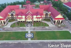 Pemekaran Wilayah Kalimantan Timur: Wacana Pembentukan Provinsi Berau Raya Lebih Luas dari Babel dan Bali