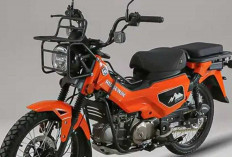 AJS Ridgeway 125, Bebek Adventure Mirip Honda CT125 Harga Rp63 Jutaan. 
