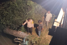 Terjun untuk Mandi, Pemuda 20 Tahun Hilang Terseret Arus Sungai Batanghari Leko