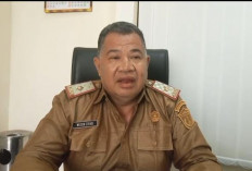 Kontroversi Kades Lolos P3K Paruh Waktu, BKDSDM Ogan Ilir Tunggu Keputusan Bersangkutan