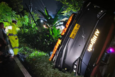 Laporan Warga ke 110 Selamatkan Penumpang Bus yang Terjun ke Jurang di Lahat