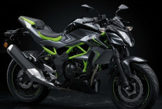 Kawasaki Z125 2027 Naked Bike 125cc , Kecil Tapi Buas Bikin Rider Pemula Ketagihan. 