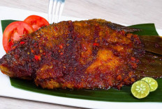 Ikan Bakar Bumbu Rujak, Cita Rasa Nusantara yang Menggugah Selera