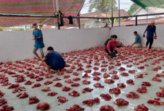 Masjid Agung Muara Enim Salurkan 700 Paket Daging Kurban