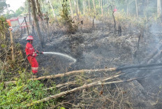 Ratusan Personel dan Armada Disiagakan, PHR Zona 4 Ikut Padamkan 113 Karhutla di Sumsel