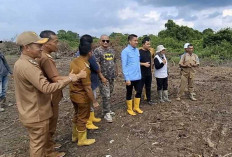 Tinjau Lahan Program Cetak Sawah Rakyat di Muara Kuang, Panca:Harapkan Bantuan Pusat