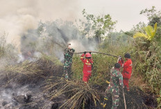 Gerak Cepat Tangani Karhutla Muara Medak, Dandim 0401/Muba Pimpin Pemadaman