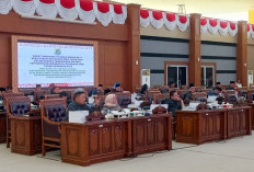 Jangan Persulit Pasien, Dewan Desak Perbaikan SOP Rujukan