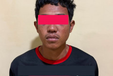 Gerak Cepat Polda Sumsel Ringkus Pelaku Kekerasan Seksual Terhadap Anak di Bawah Umur