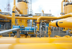 PGN Siap Integrasikan Biomethane ke Infrastruktur Gas, Dorong Pemanfaatan Energi Rendah Karbon
