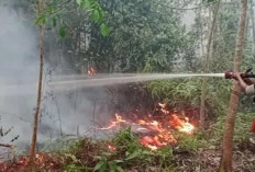 Karhutla Capai 60 Hektare, Suplai 9.000 Liter Air Dikerahkan