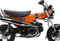 Honda ST125 Dax Baru Tampil Lebih Berani dengan Warna Candy Energy Orange. 