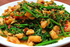 Tumis Pakis Tempe : Sajian Sederhana yang Kian Digemari Pecinta Kuliner Nusantara