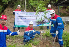 Pertamina Drilling Ajak Pekerja Tanam Pohon, Perkuat Komitmen Green Drilling dan Pengendalian Perubahan Iklim
