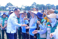Panen Raya Jagung di OKU Selatan, Wagub Cik Ujang Tegaskan Komitmen Dukung Ketahanan Pangan Nasional