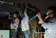 Karhutla Hanguskan 10 Hektare Lahan di Pulau Negara Ogan Ilir