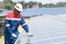 Di Tengah Gejolak Energi Dunia, Pertamina Dorong Energi Terbarukan
