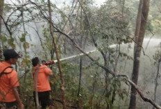 Padamkan Karhutla Seluass 4 Hektare di Tiga Lokasi