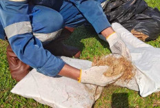 Inovasi Pertamina EP Prabumulih Field, Sabut Kelapa Disulap Jadi OSEKA untuk Tangani Tumpahan Minyak