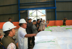 Tinjau Gudang Bulog Lubuklinggau, Gubernur Herman Deru Pastikan Stok Beras Sumsel Aman hingga 10 Bulan kedepan
