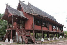 Pemekaran Wilayah Kalimantan Tengah: Wacana Pembentukan Kota Sampit Sebagai Pusat Ekonomi Regional Baru