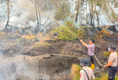 Operasi Aman Nusa II, 19 Personel Tangani Karhutla di Teluk Limau