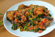Ikan Patin Sambal Kemangi, Perpaduan Cita Rasa Nusantara yang Kian Digemari