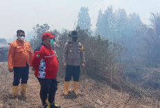 Pemekaran Wilayah Sumatera Selatan: Wacana Pembentukan Kabupaten Gelumbang Lebih Dekat ke Palembang
