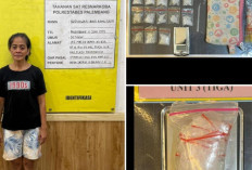 36 Jam di Palembang: Polisi Bongkar 3 Jaringan Narkoba, Sita Sabu dan Ganja Sintetis