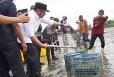 Barantin Perkuat Rantai Pasok Ekspor Udang Vaname Sumsel, Dorong Daya Saing Global Komoditas Unggulan Daerah