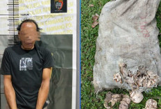 Pencuri Getah Karet Nyaris Tewas Diamuk Massa