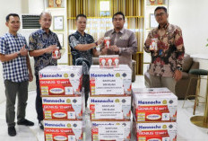 PLN UID S2JB Kirim Bantuan 500 Lampu Emergency untuk Bantu Warga Terdampak Banjir dan Longsor di Aceh, Sumut, 