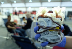 Kilang Pertamina Plaju Ajak Masyarakat Berbagi Energi Lewat Donor Darah, Yuk daftar!*