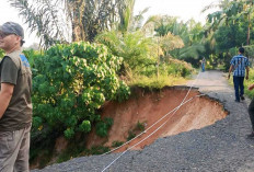 Pemkab OKU Antisipasi Jalan dan Jembatan Longsor